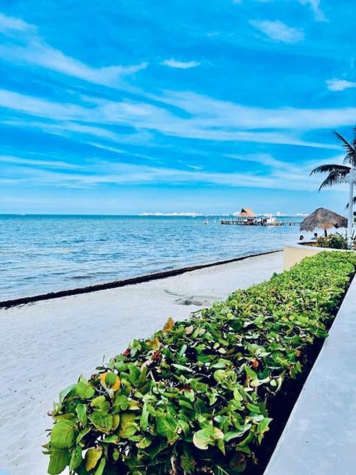 Punta Me Apartment Beach Front In The Hotel & Waterpark Cancún Eksteriør bilde